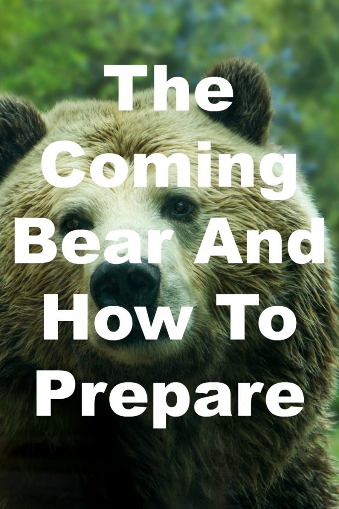 preparing for bear market